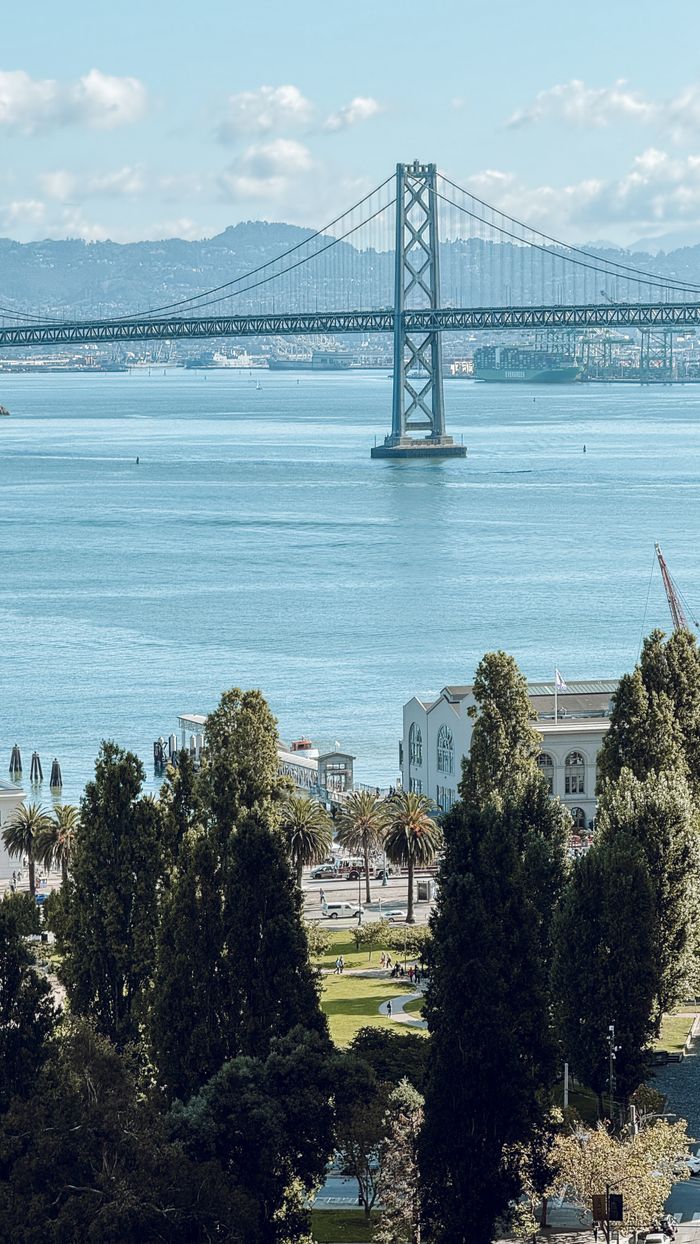 services-01 Scenic view of Bay Bridge with lush greenery and cityscape in San Francisco.