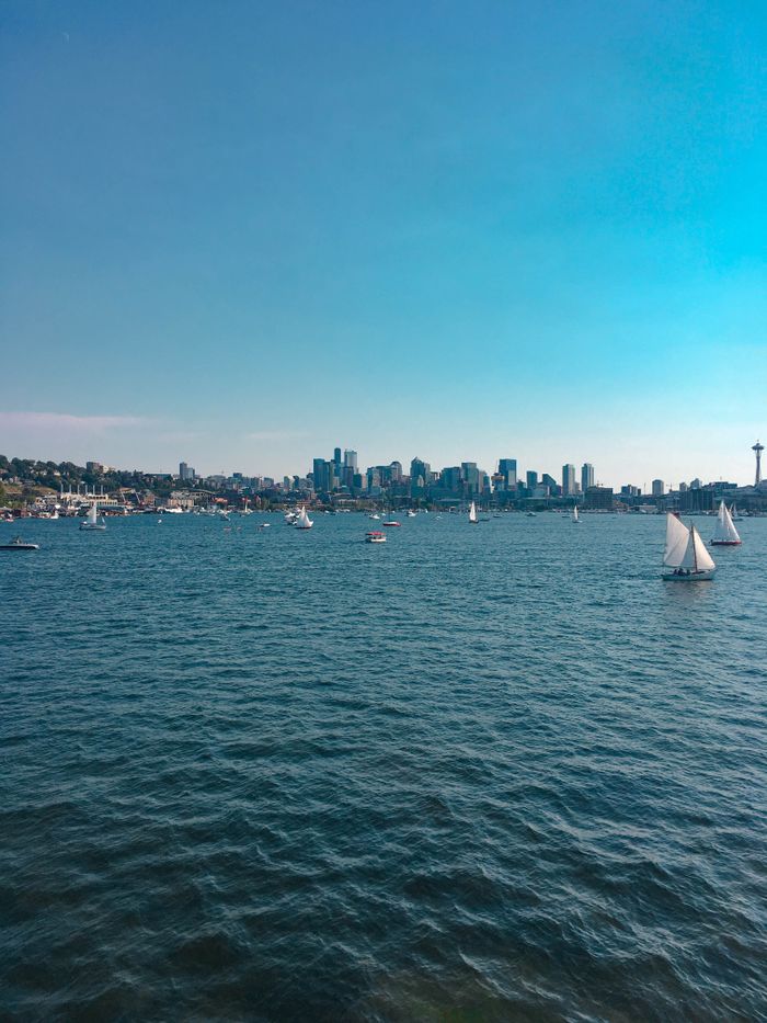 Serene view of sailboats on a blue lake with a city skyline in the distance.
